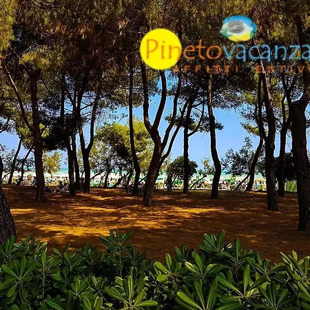 Apartamento Orchidea 3 -